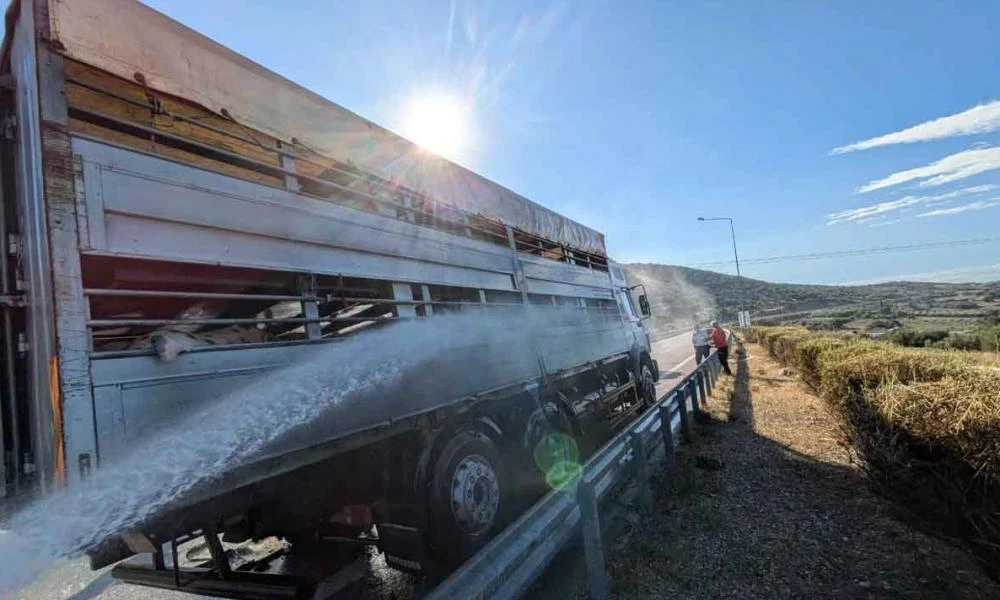 Στις φλόγες τυλίχτηκε φορτηγό που μετέφερε ζώα στην Ιονία Οδό